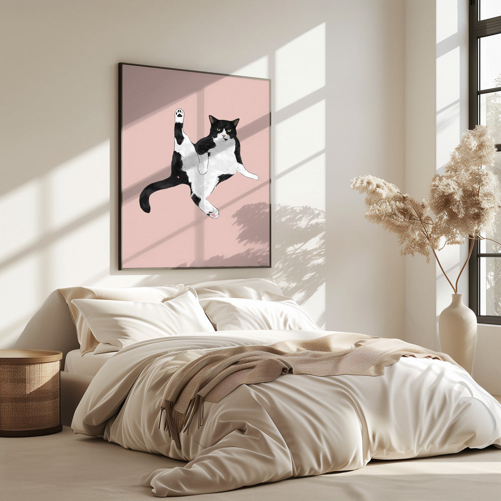 Kat in een grappige pose | Poster