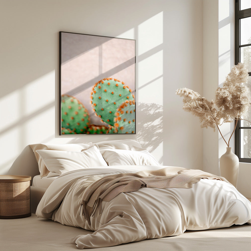 Cactussen Pasteltinten | Poster