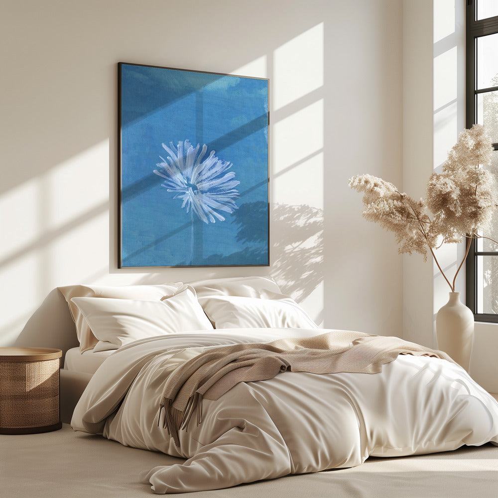 White Flower On Blue Background | Poster