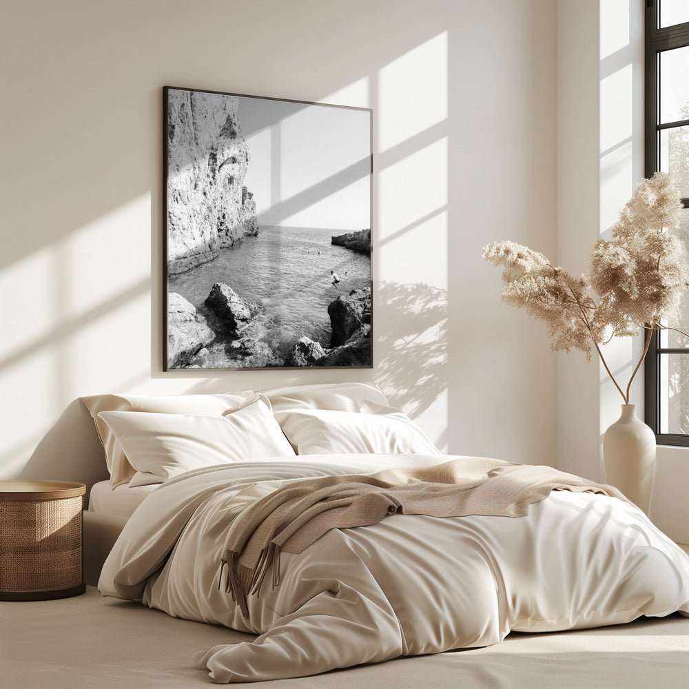 De Duik | Poster
