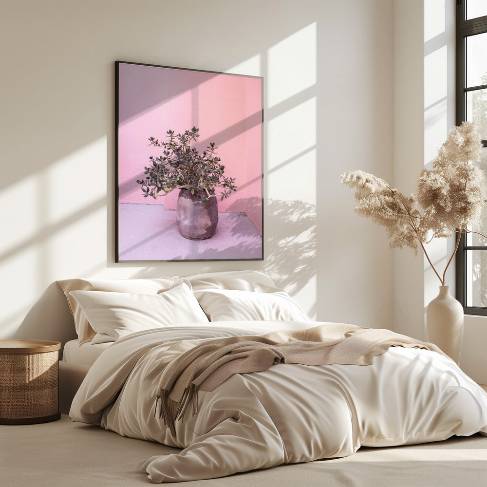 Spaanse rustieke succulent | Poster