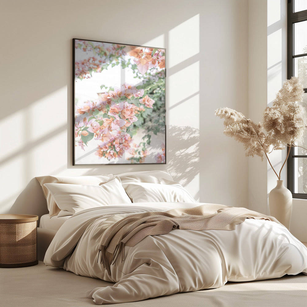 Perzik Bougainvillea | Poster