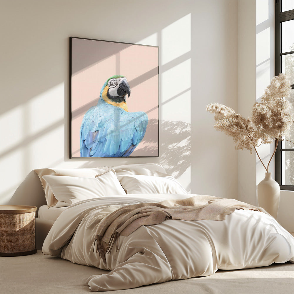 Blauwe Ara | Poster