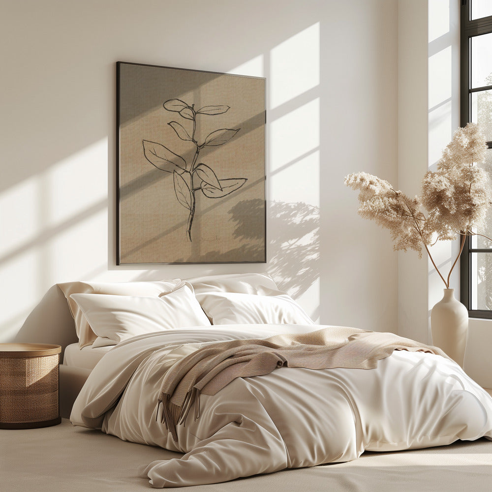 Eucalyptus Sapling | Poster