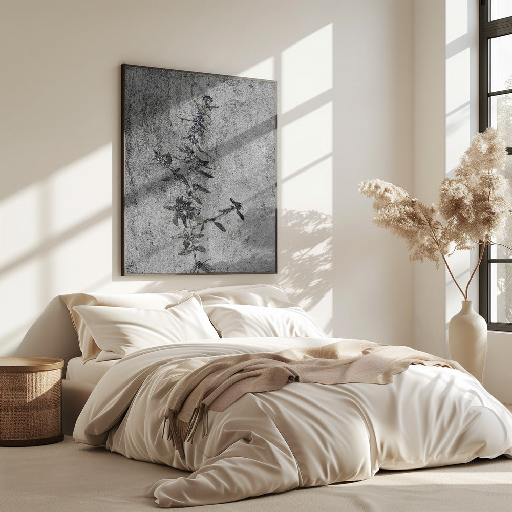 Betonnen bloesems | Poster