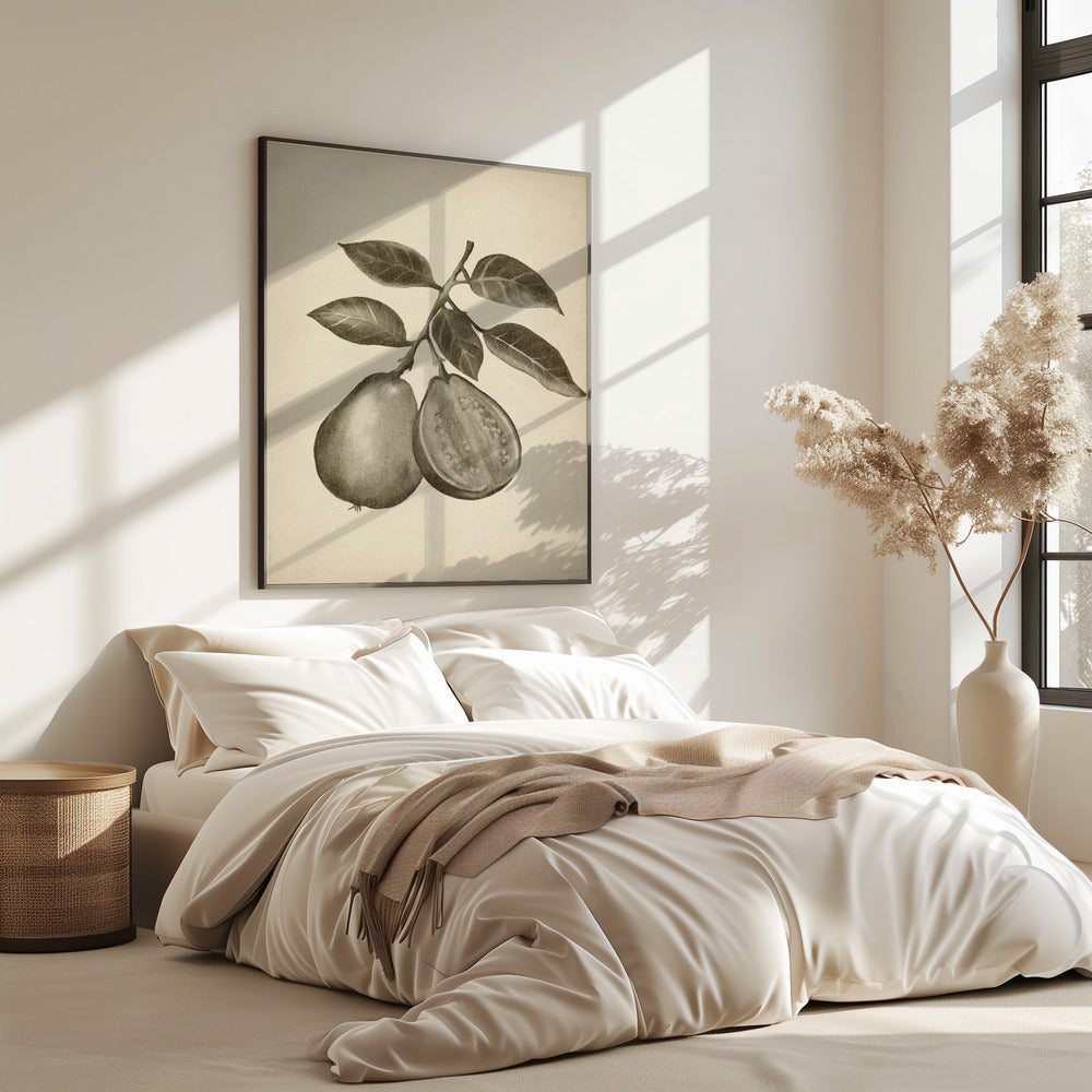 Vintage fruit | Poster