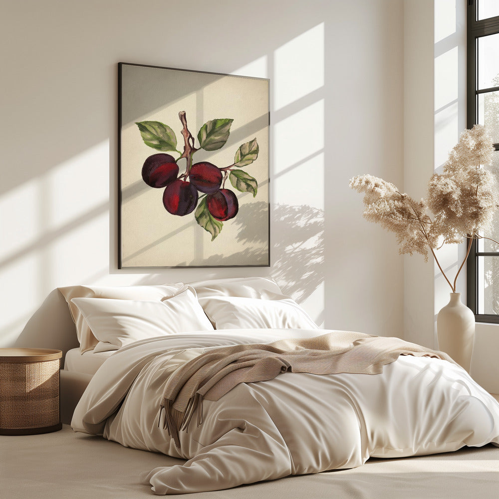 Vintage fruitcollectie | Poster