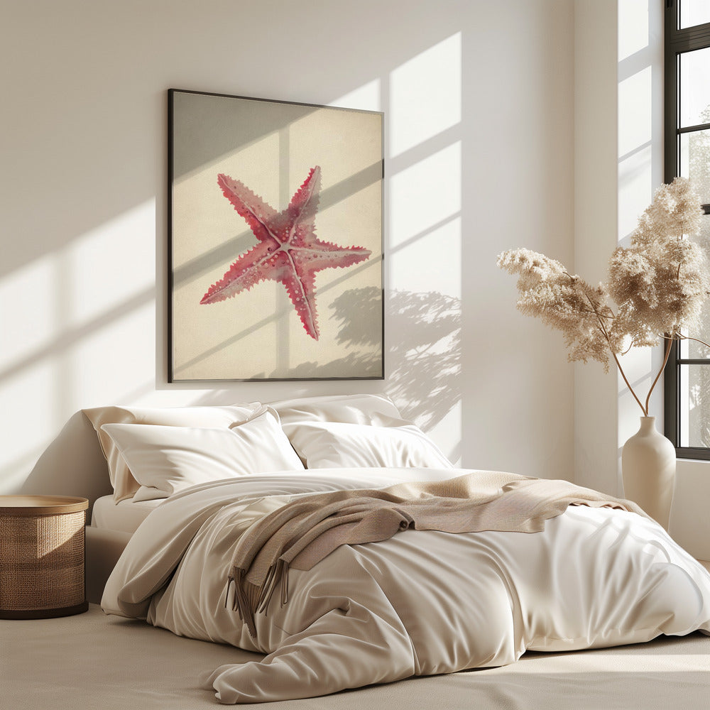 Vintage zeester schilderij | Poster