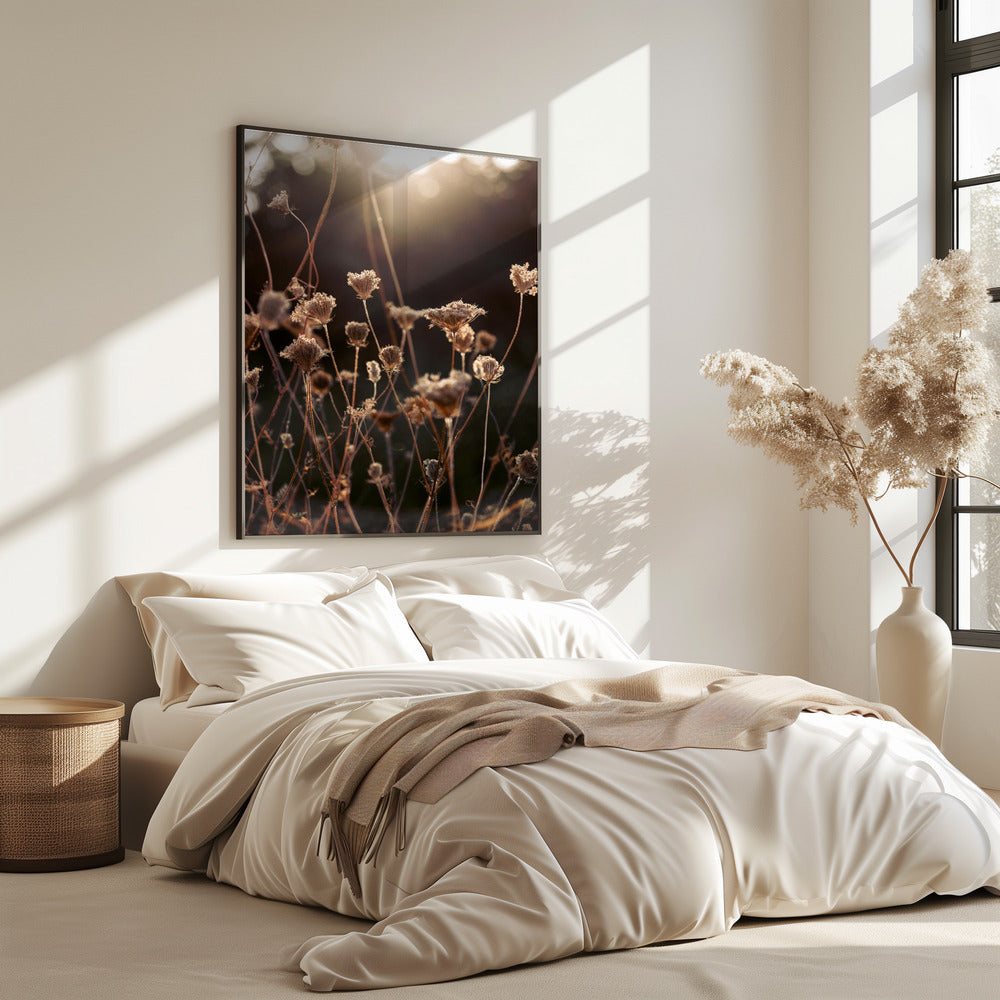 Warm Winterlicht 2 | Poster