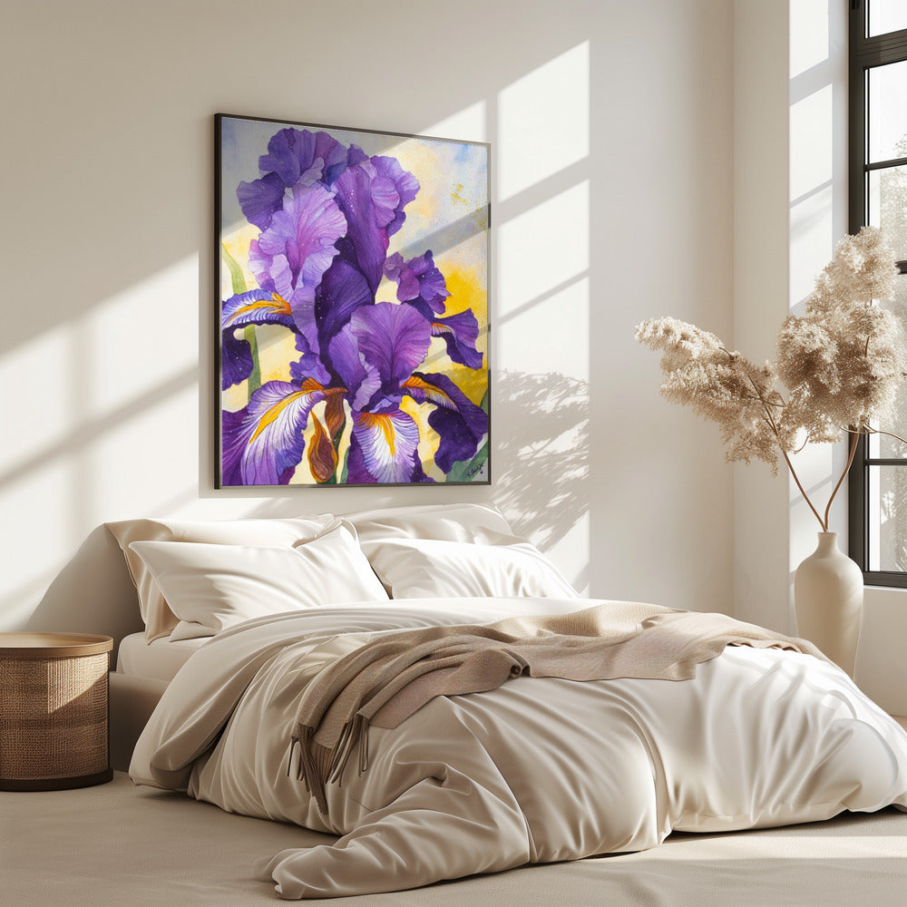 Iris aquarel | poster