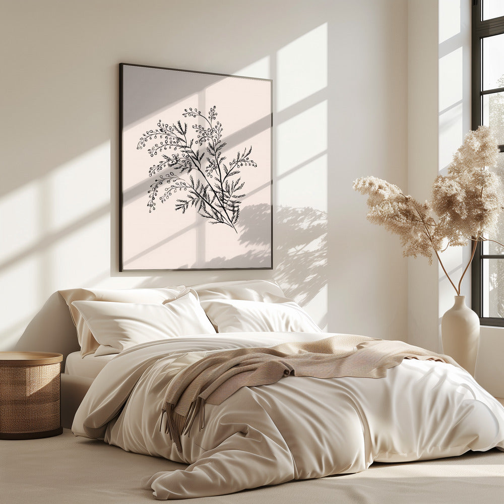 Acacia Botanische Afdeling | Poster