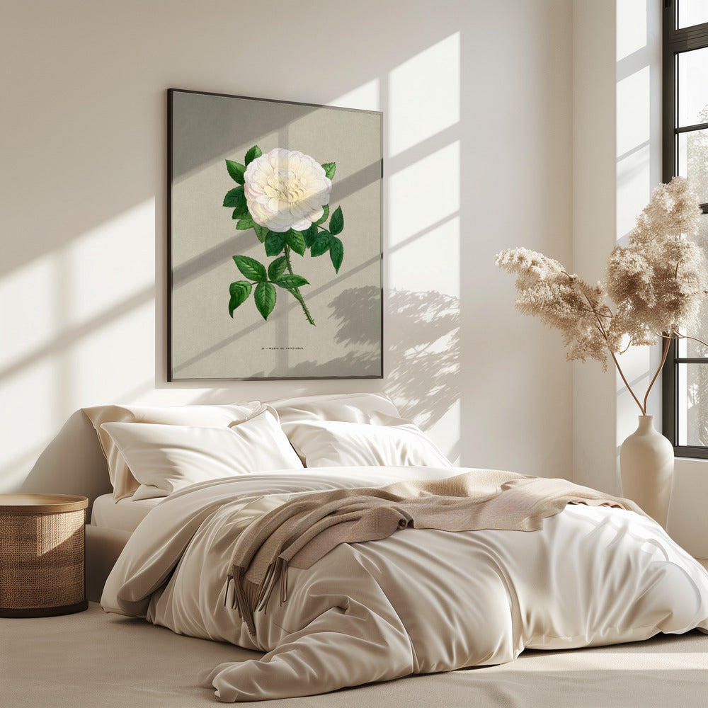 Roos Marie De Saint Jean | Poster