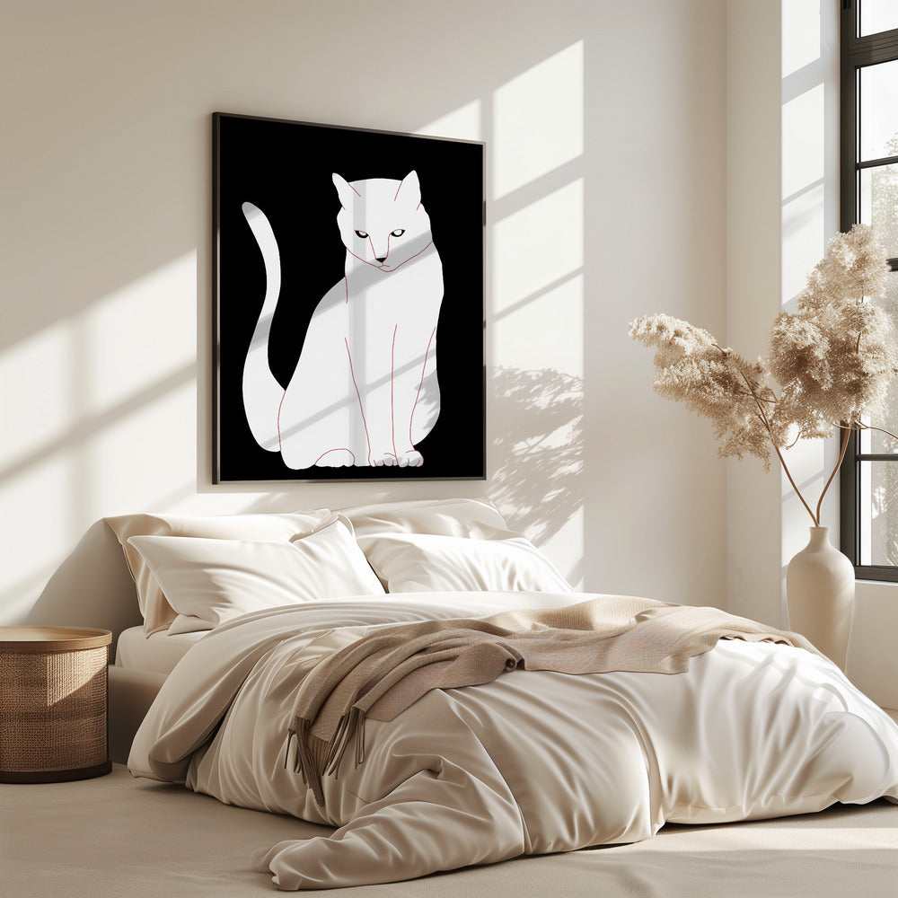 White and black cat | Poster
