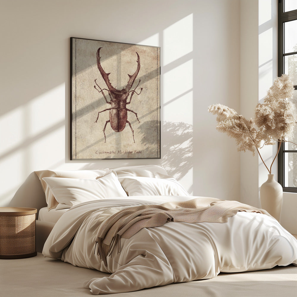 Antieke Kever Illustratie | Poster