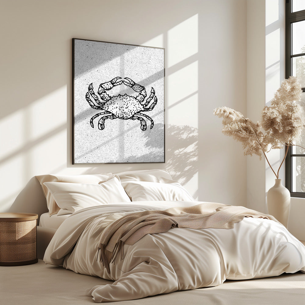 Zwart-witte krab | Poster