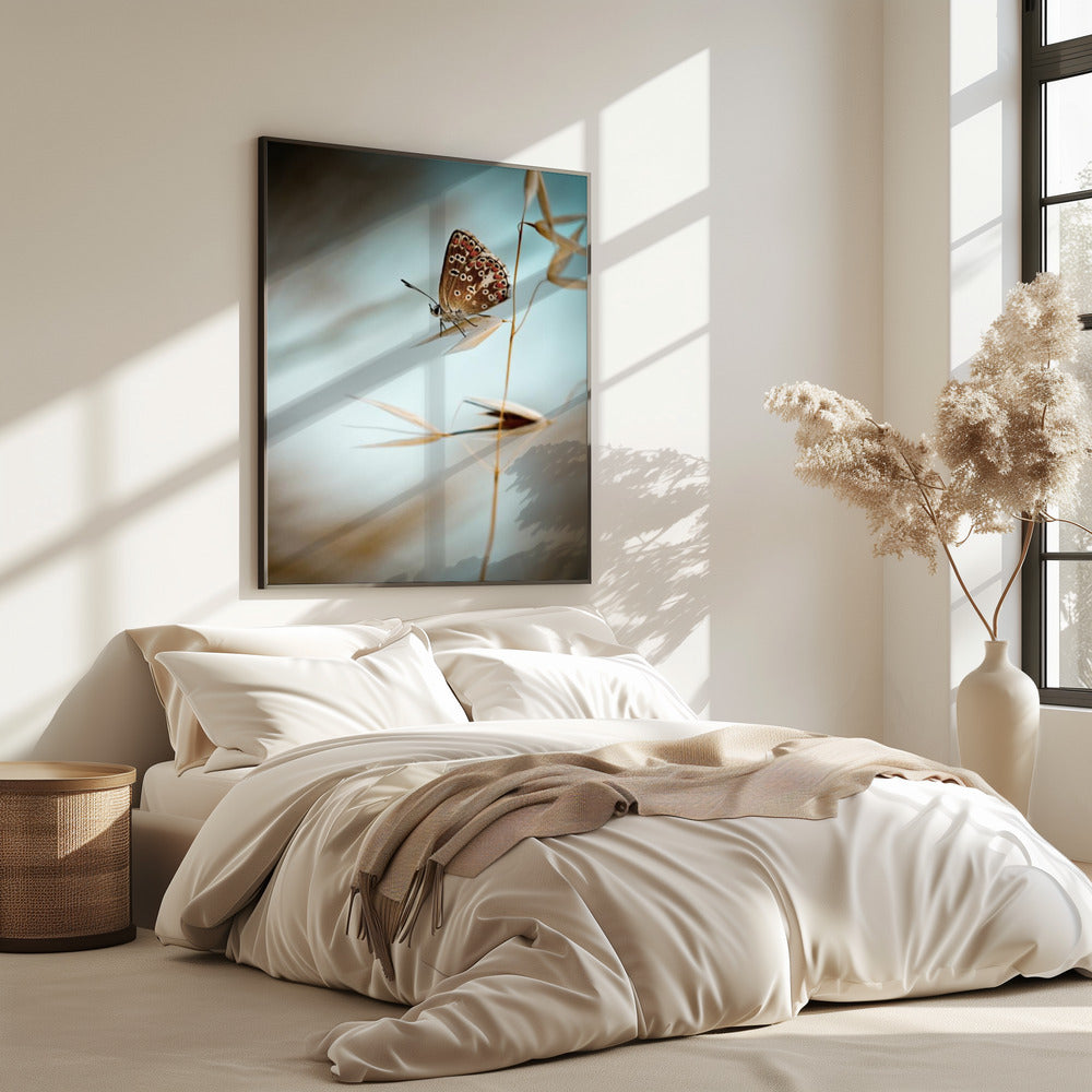 Droom in blauw | Poster
