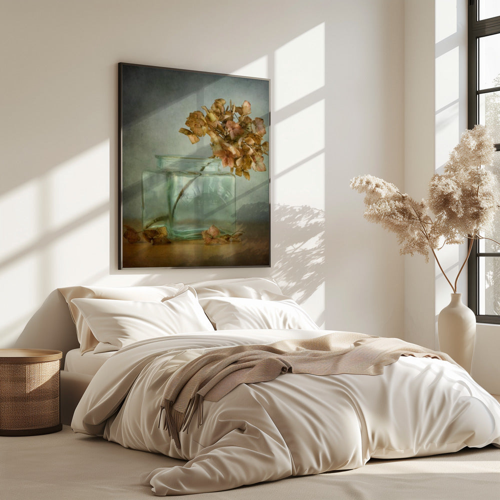 Hydrangea | Poster