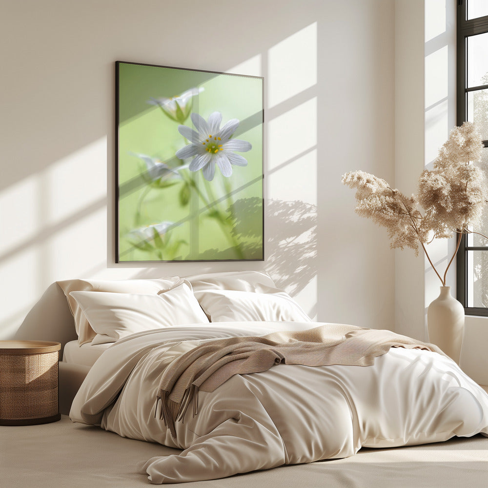Lente schittering | Poster