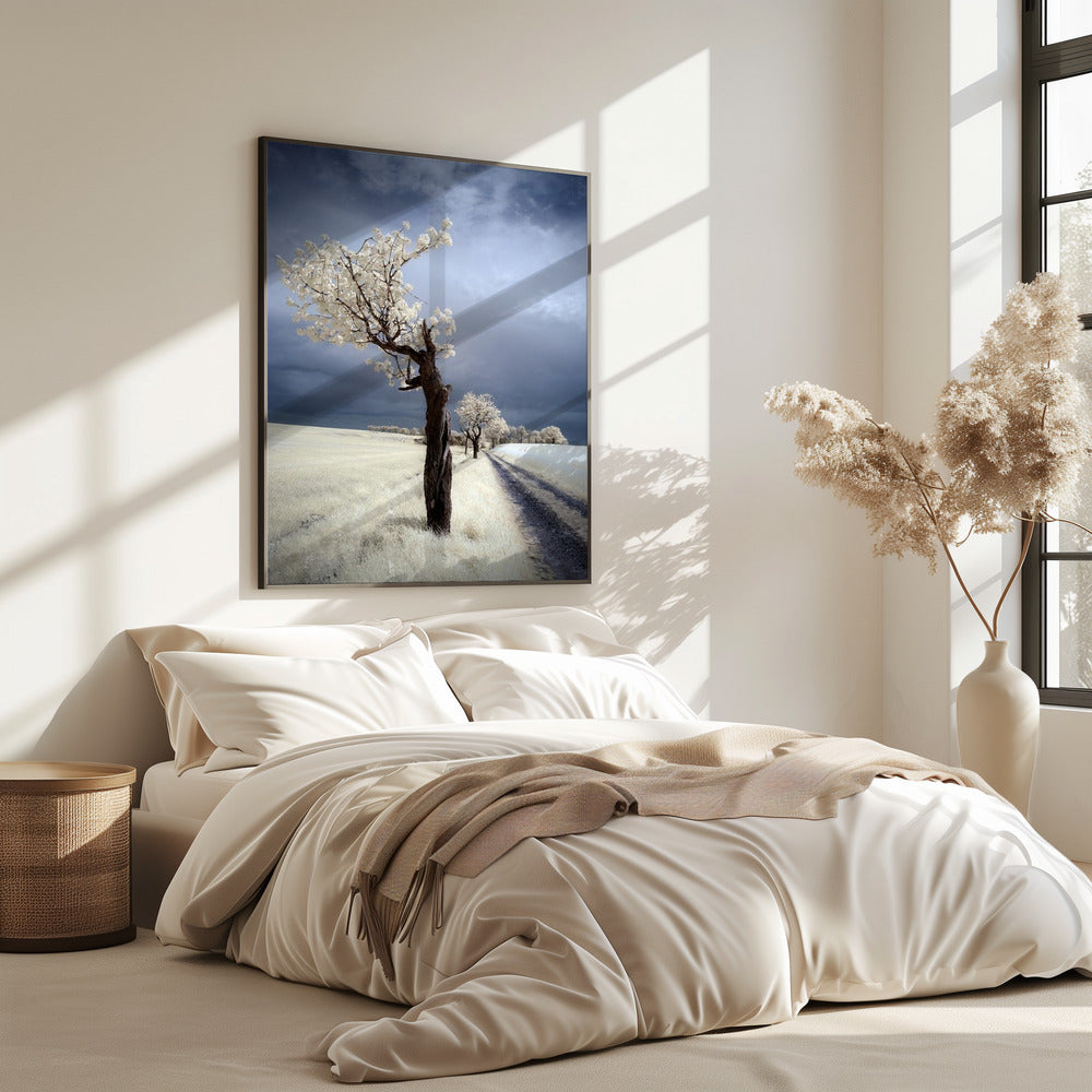IRenka | Poster