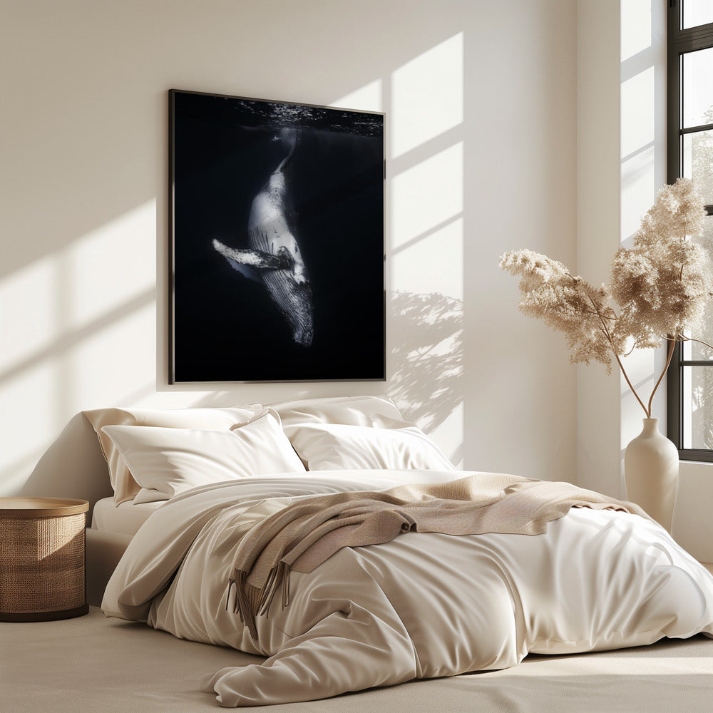 Zwarte Walvis | Poster