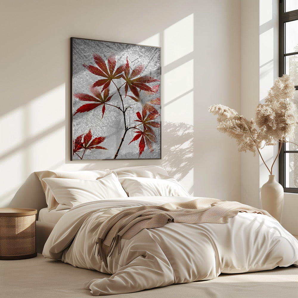 red maple | Poster