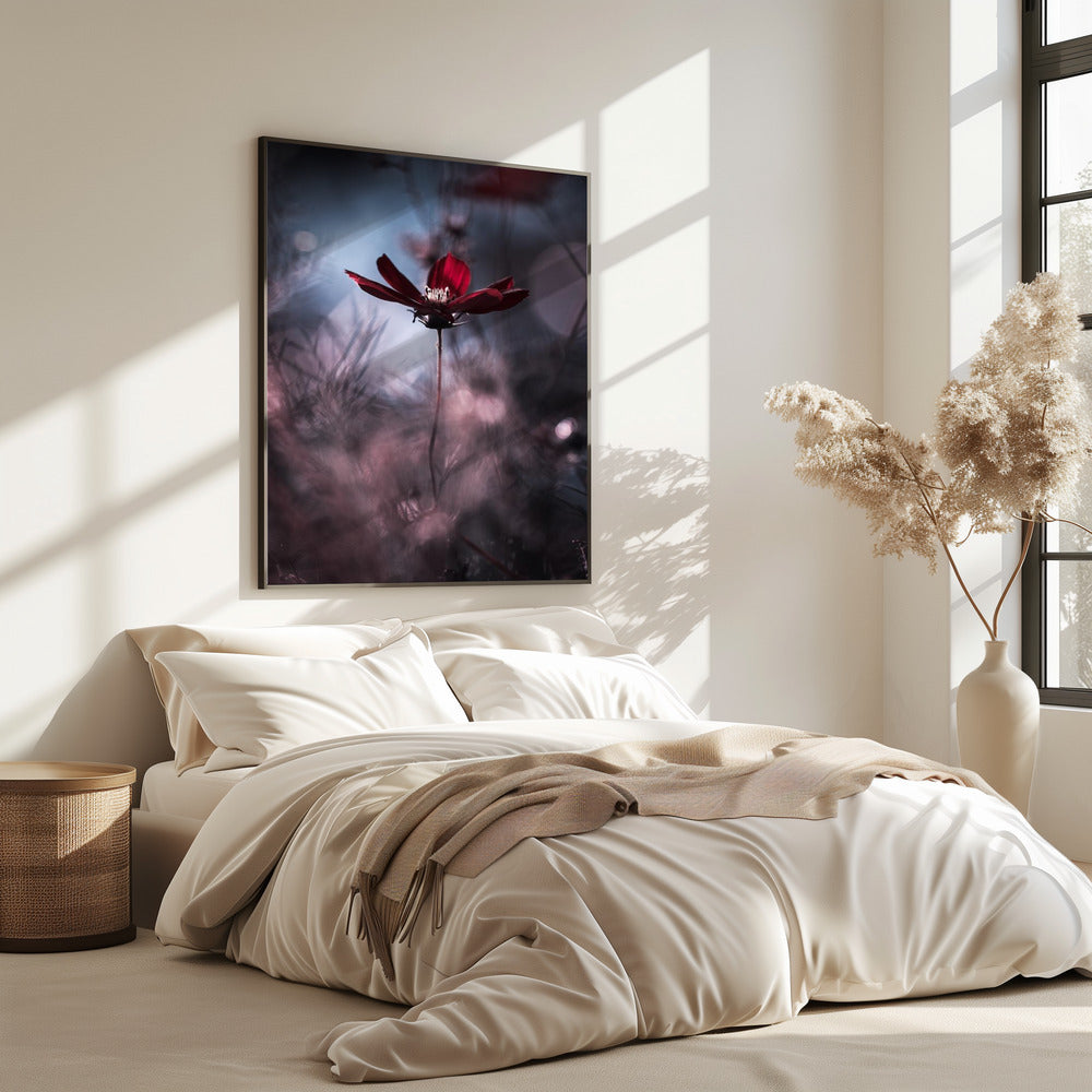 Avondjurk | Poster