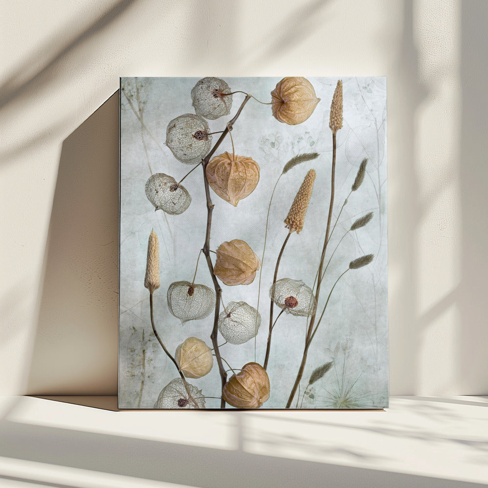 Lantaarns* | Canvas