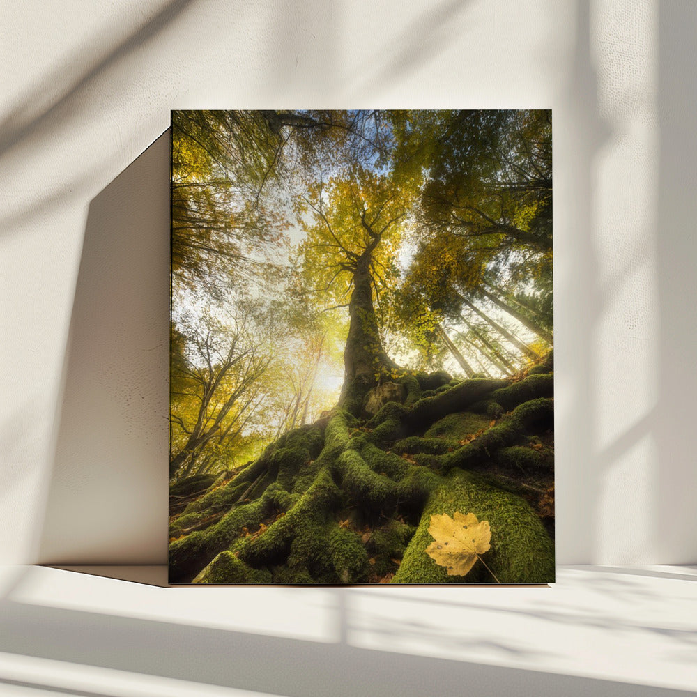 Het afscheid van een blad | Canvas