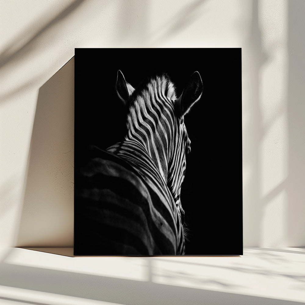 Aftreden #6 | Canvas