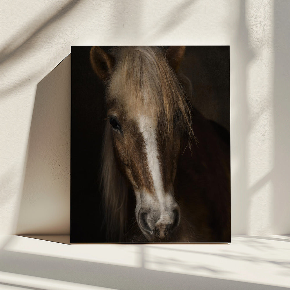 Wijsheid | Canvas