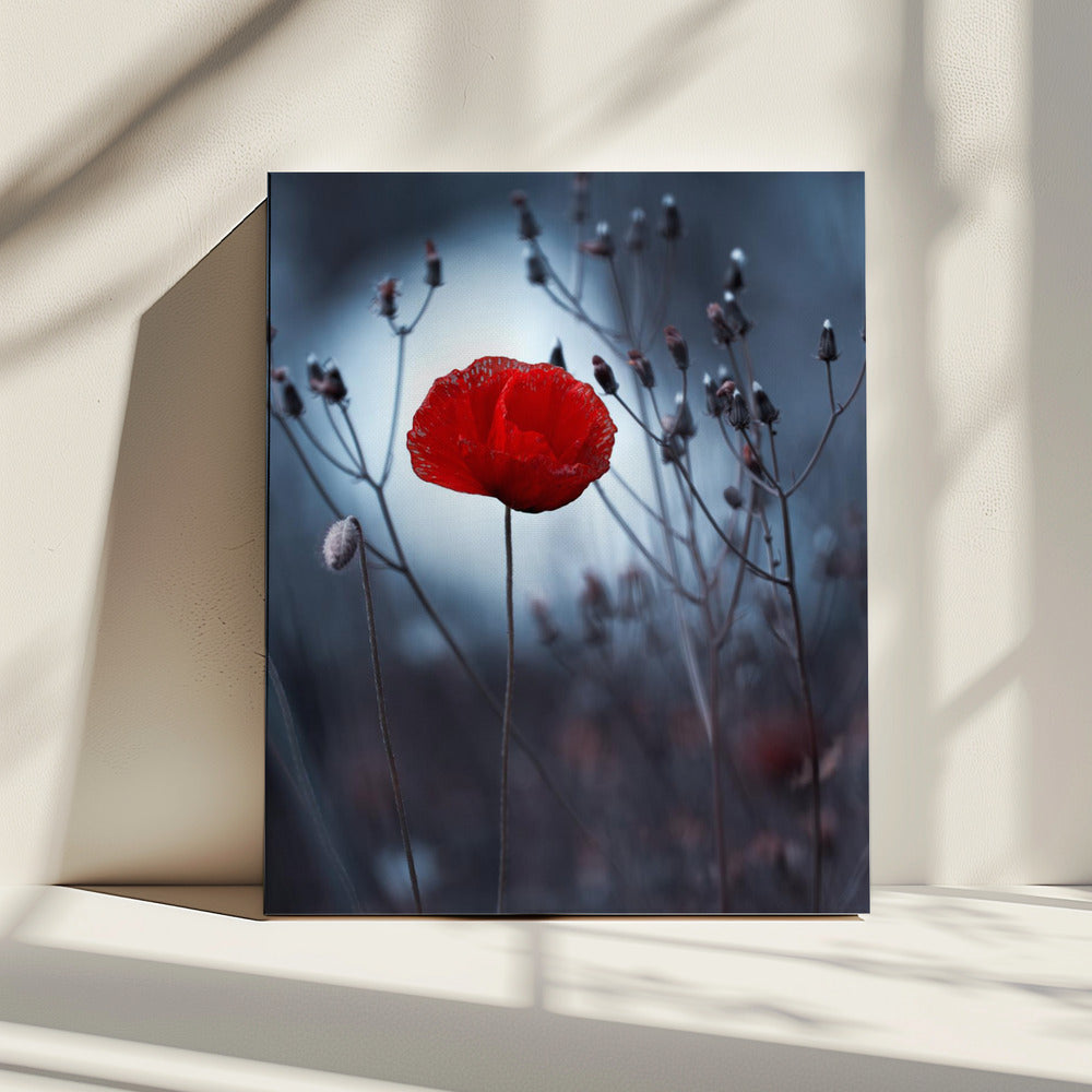 Bloem niet van Kenzo. Van mij | Canvas