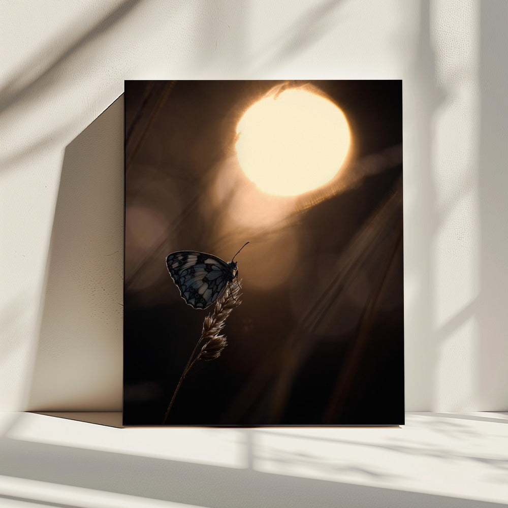 Communie met les astres | Canvas