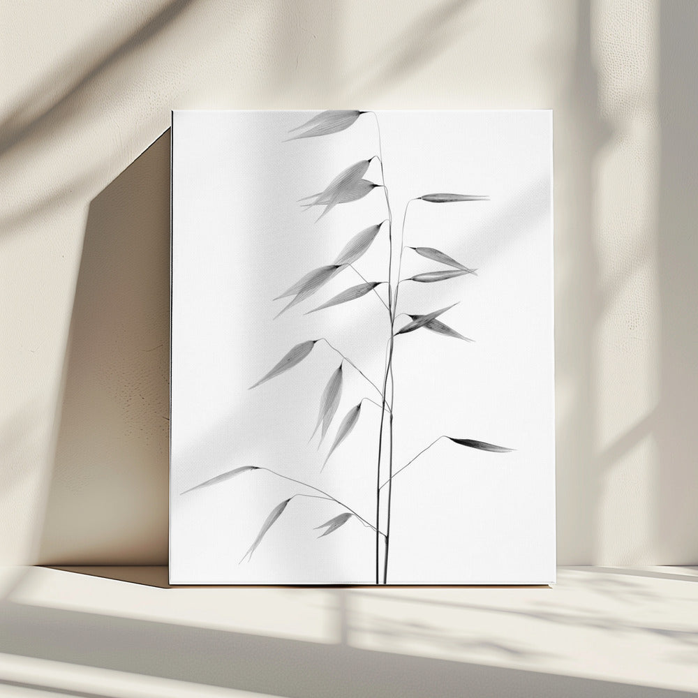 Scherpte van de natuur | Canvas