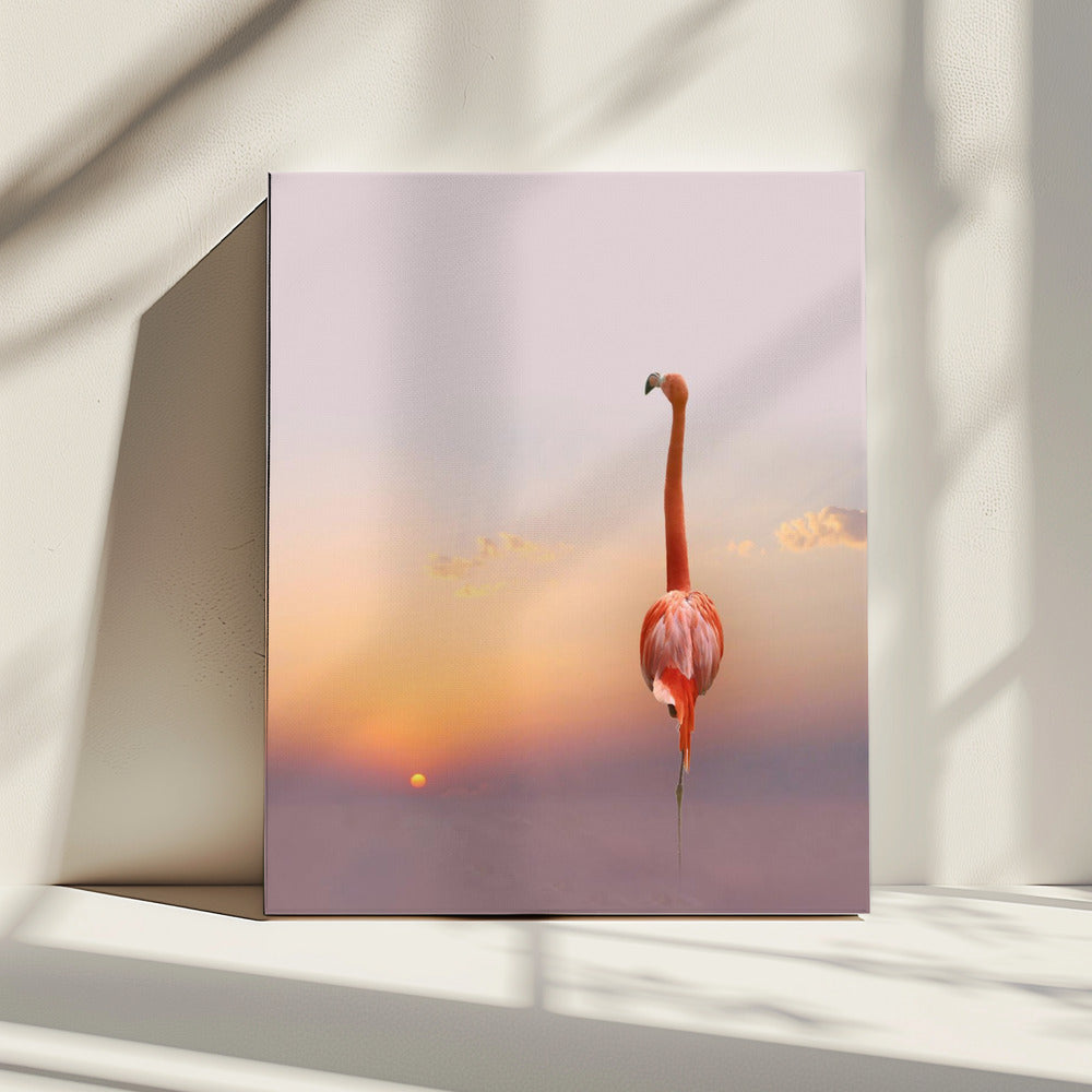 zonsondergang ... | Canvas
