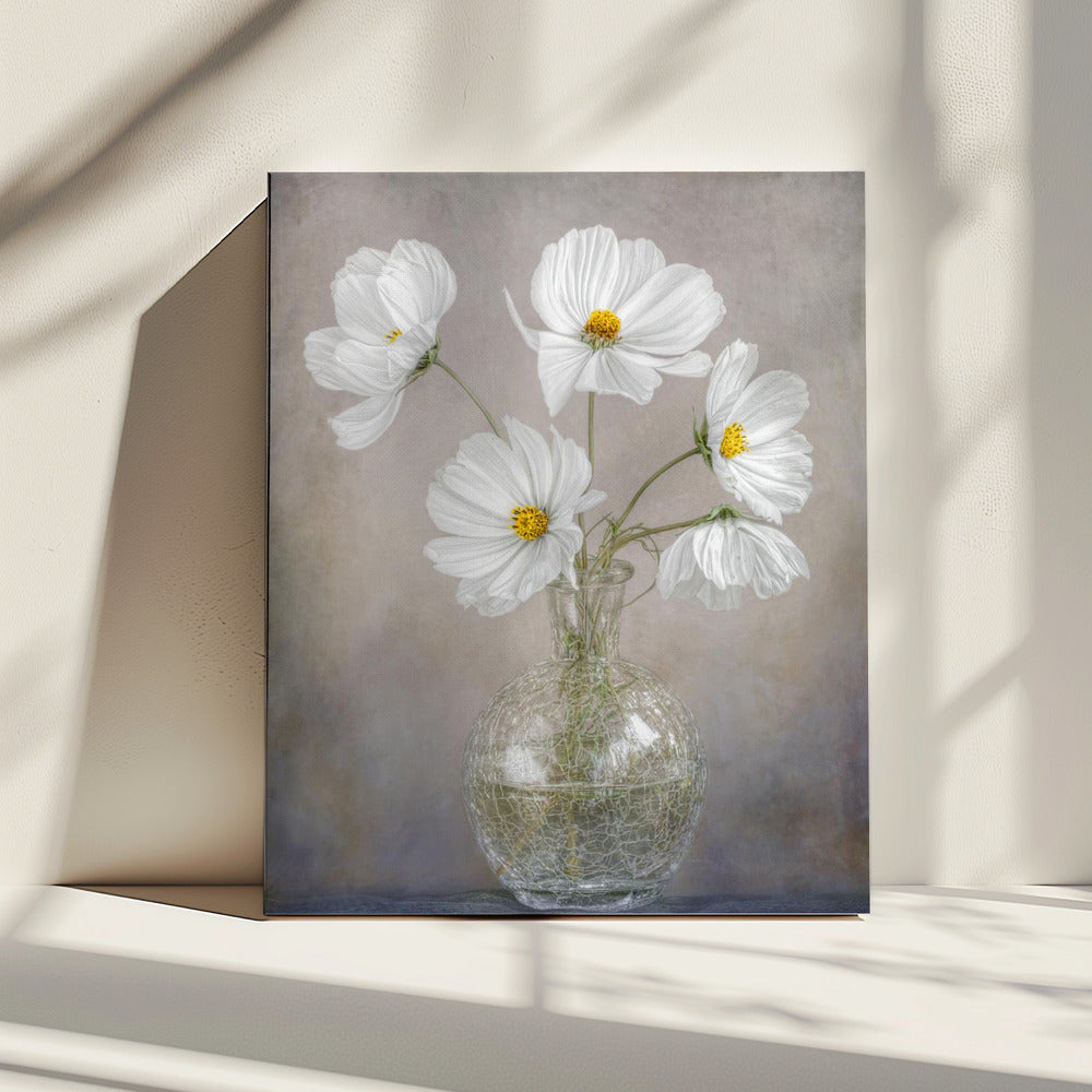 Gewoon Kosmos | Canvas