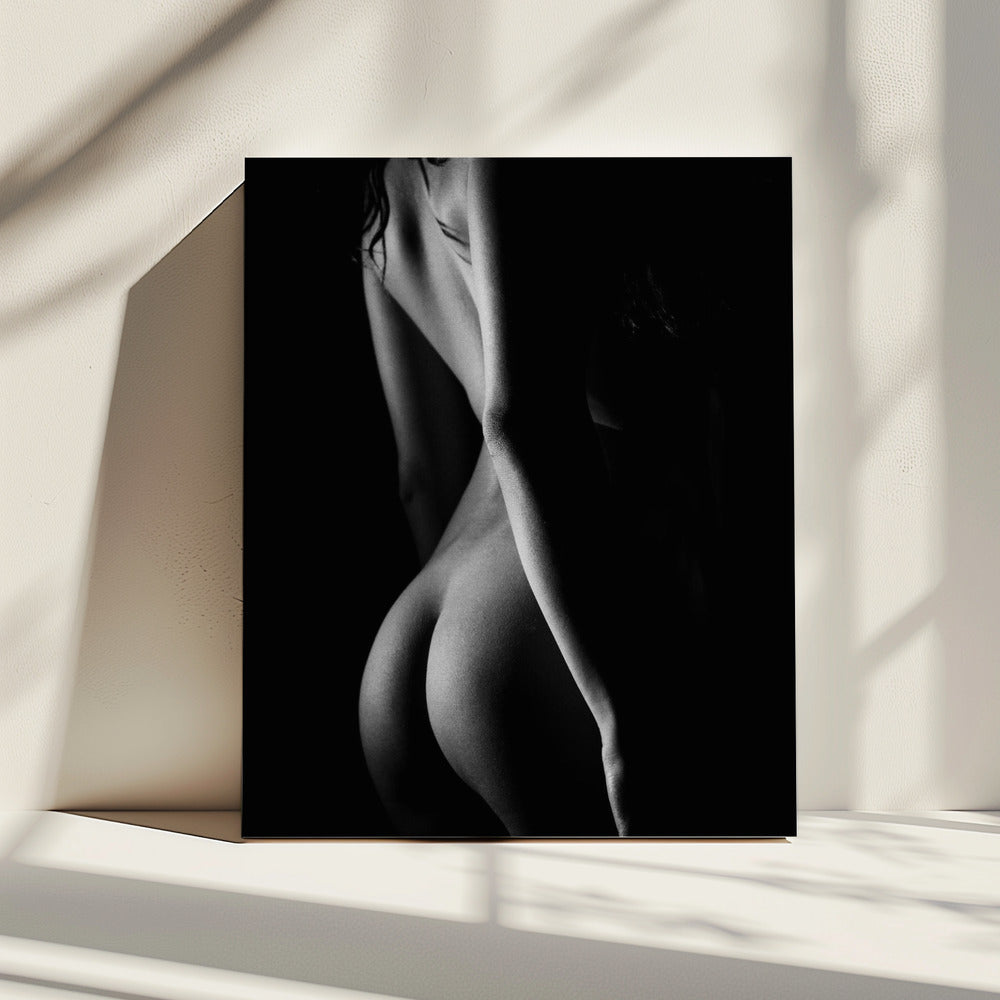 Freya Gallows nr. 0858 | Canvas