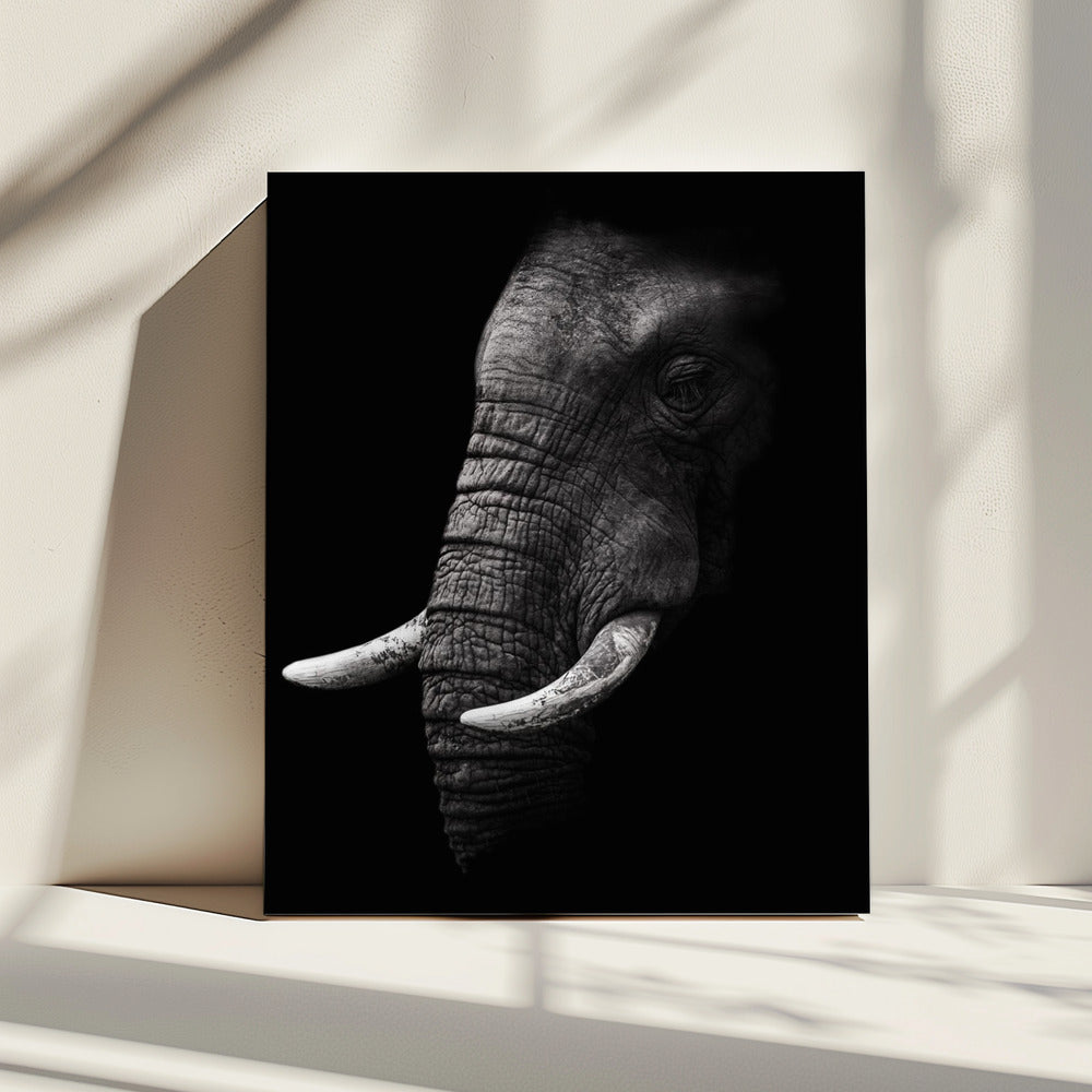 Portret | Canvas