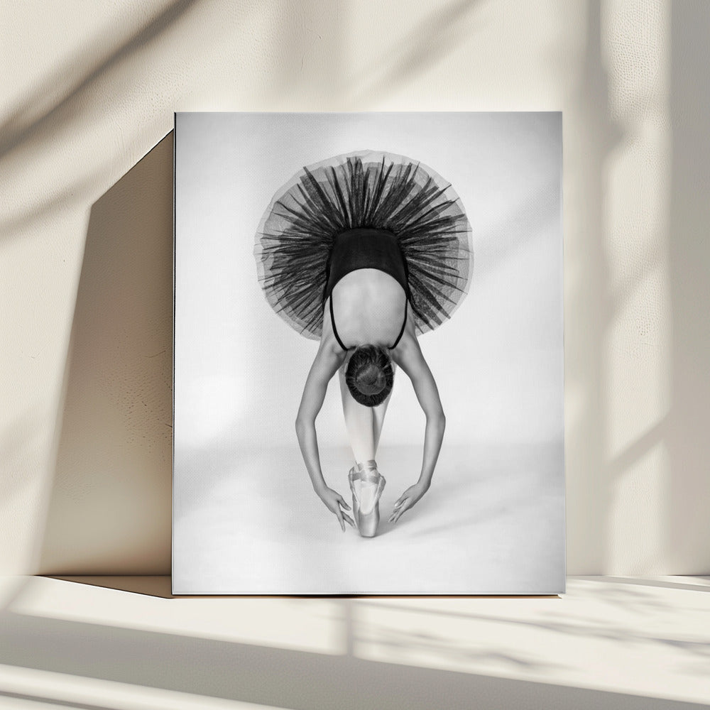 Ballettechniek | Canvas