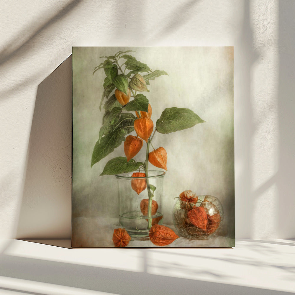Lanterns | Canvas