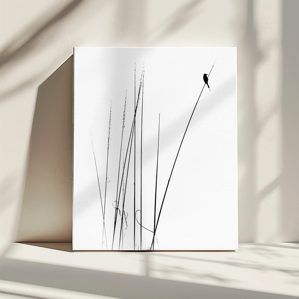 een sabbatical | Canvas