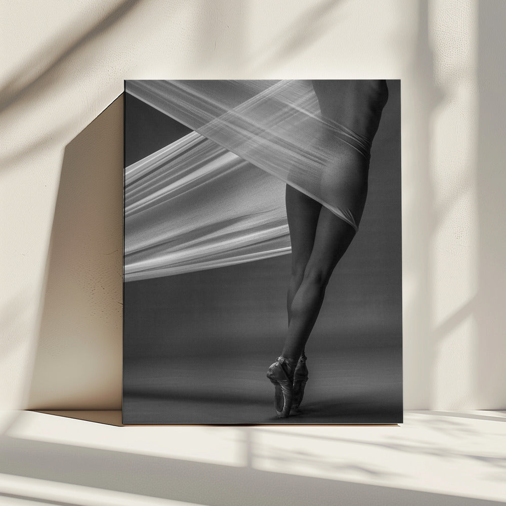 Evenwicht | Canvas