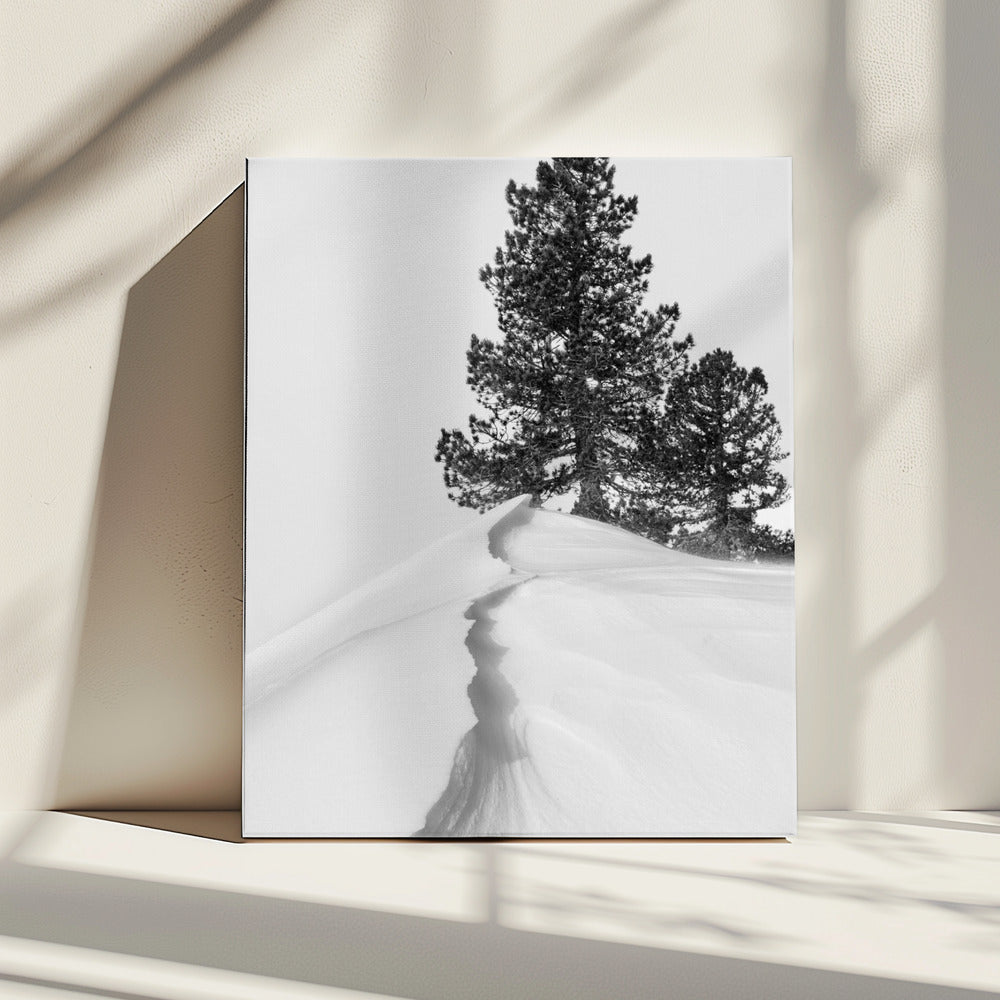Over sneeuw en vormen | Canvas