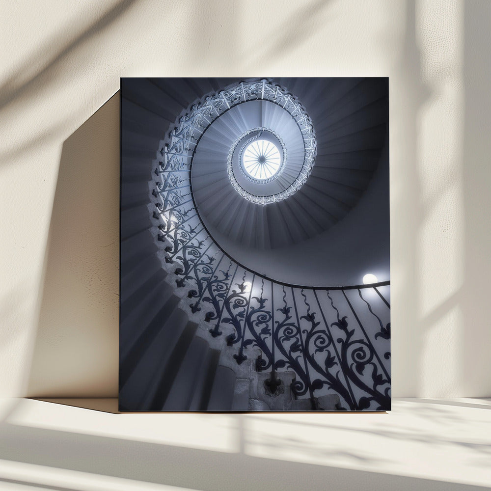 Tulpentrap | Canvas