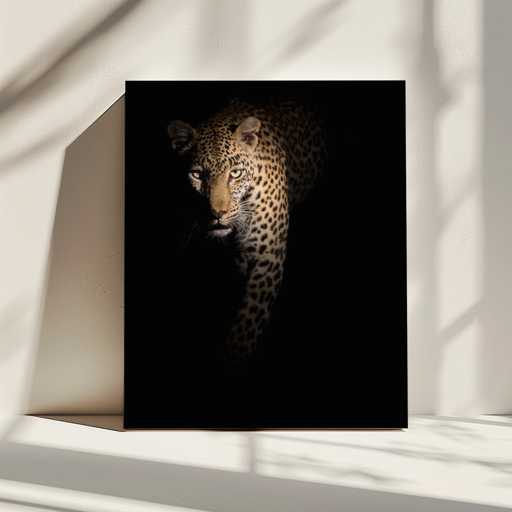 Uit de duisternis | Canvas