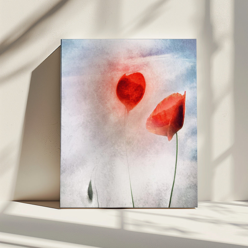 In Vlaanderen Velden | Canvas