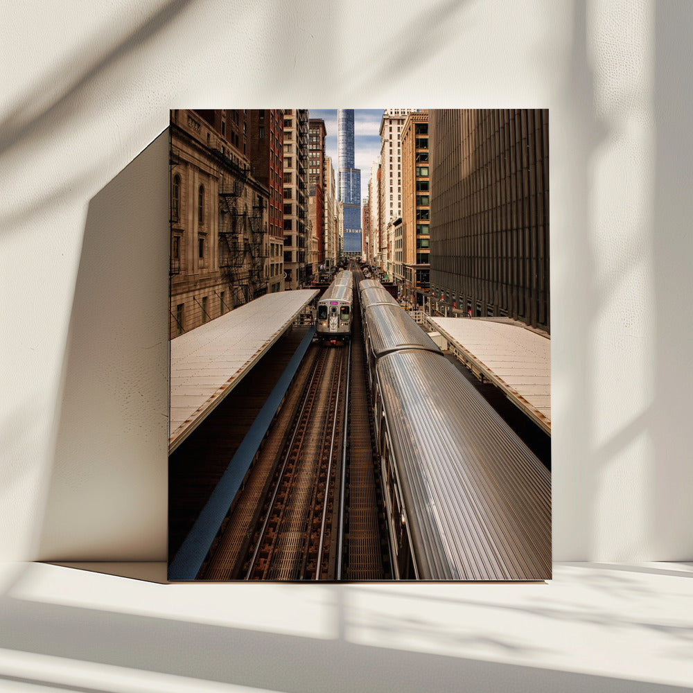 Center of Attention | Canvas