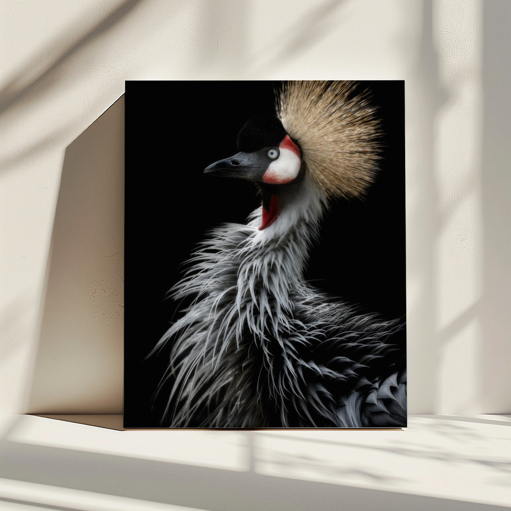 Portret van een kroonkraanvogel | Canvas