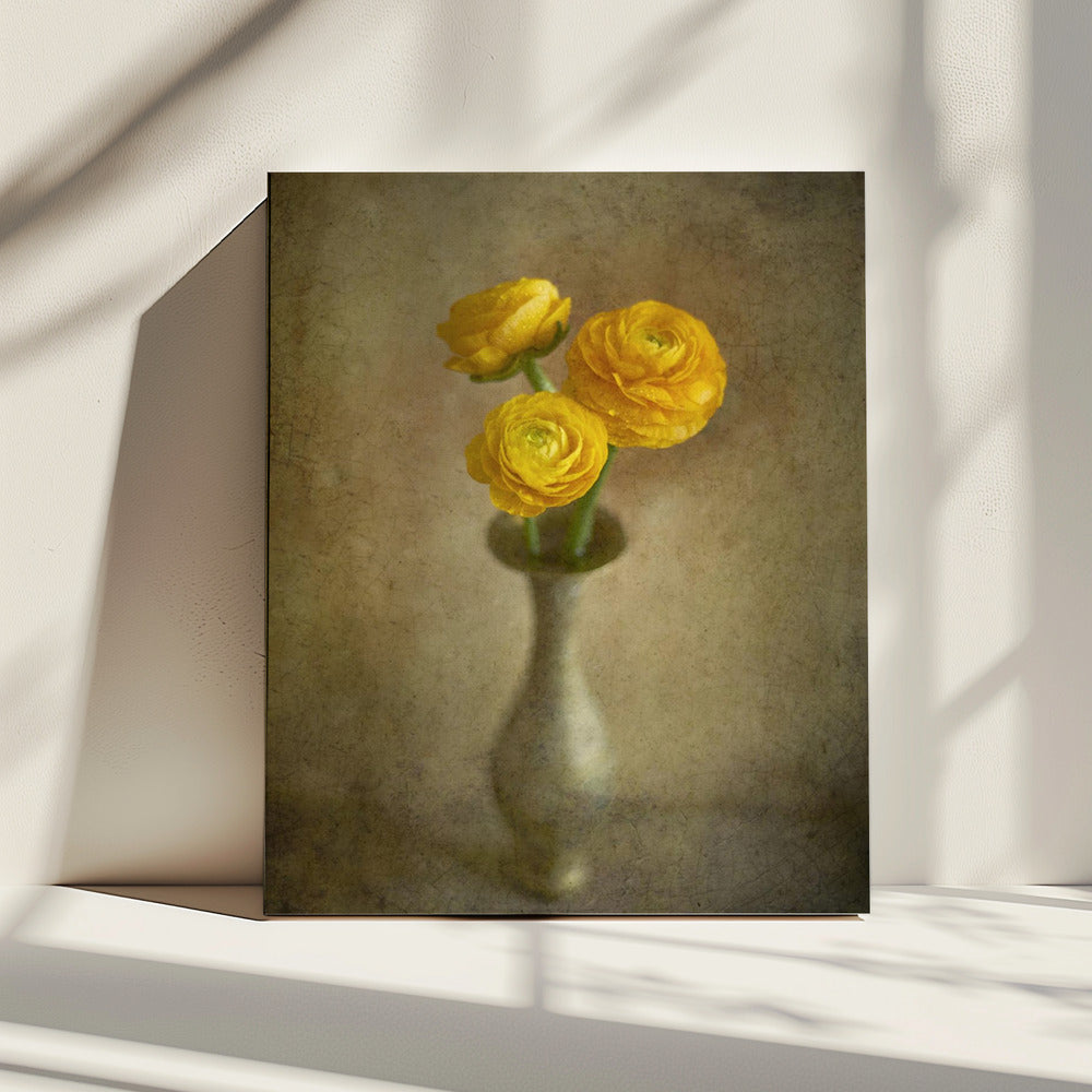 Gele boterbloemen | Canvas
