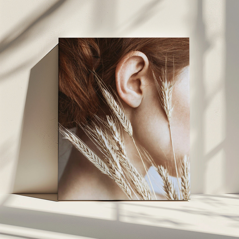 Rogge | Canvas