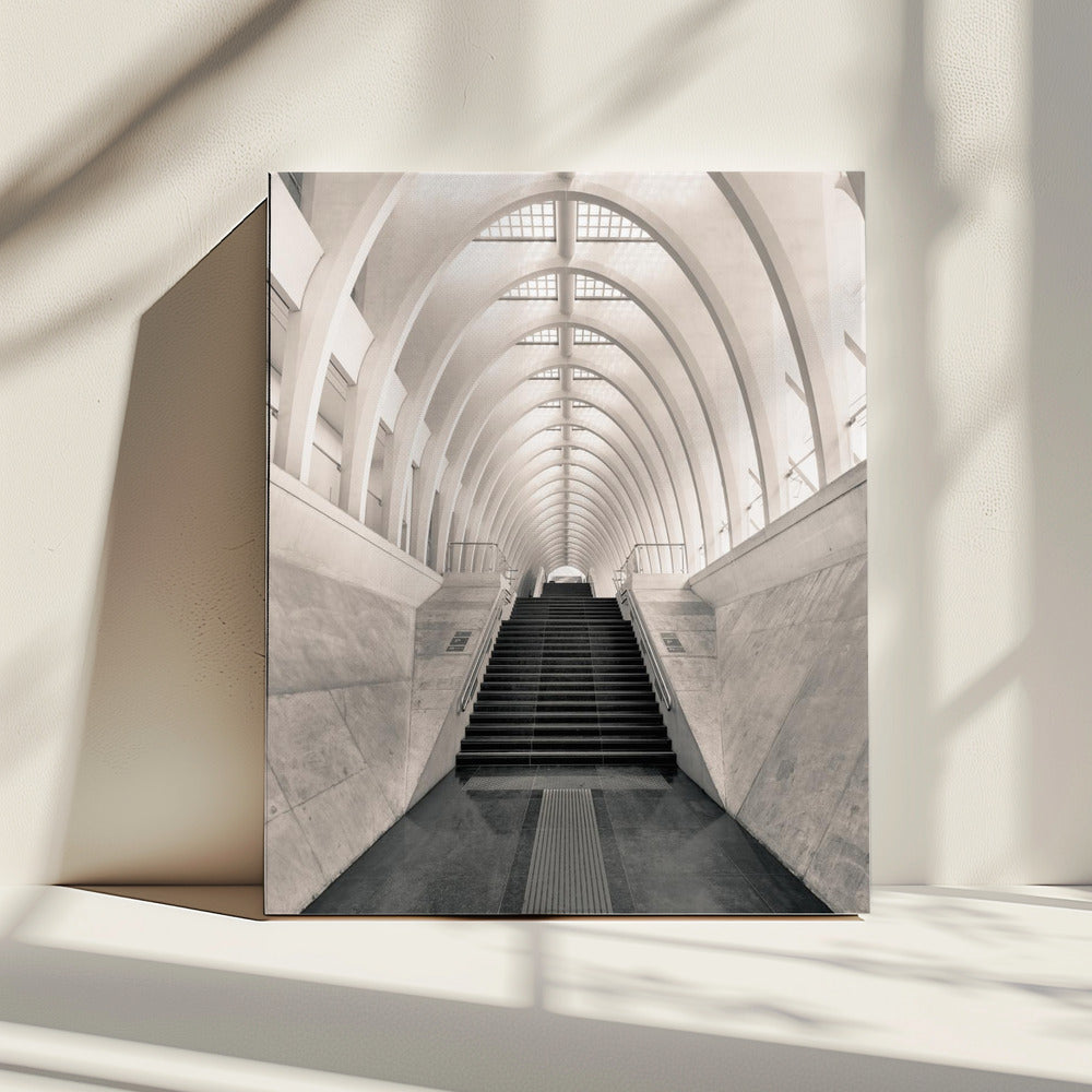 Binnen Calatrava | Canvas